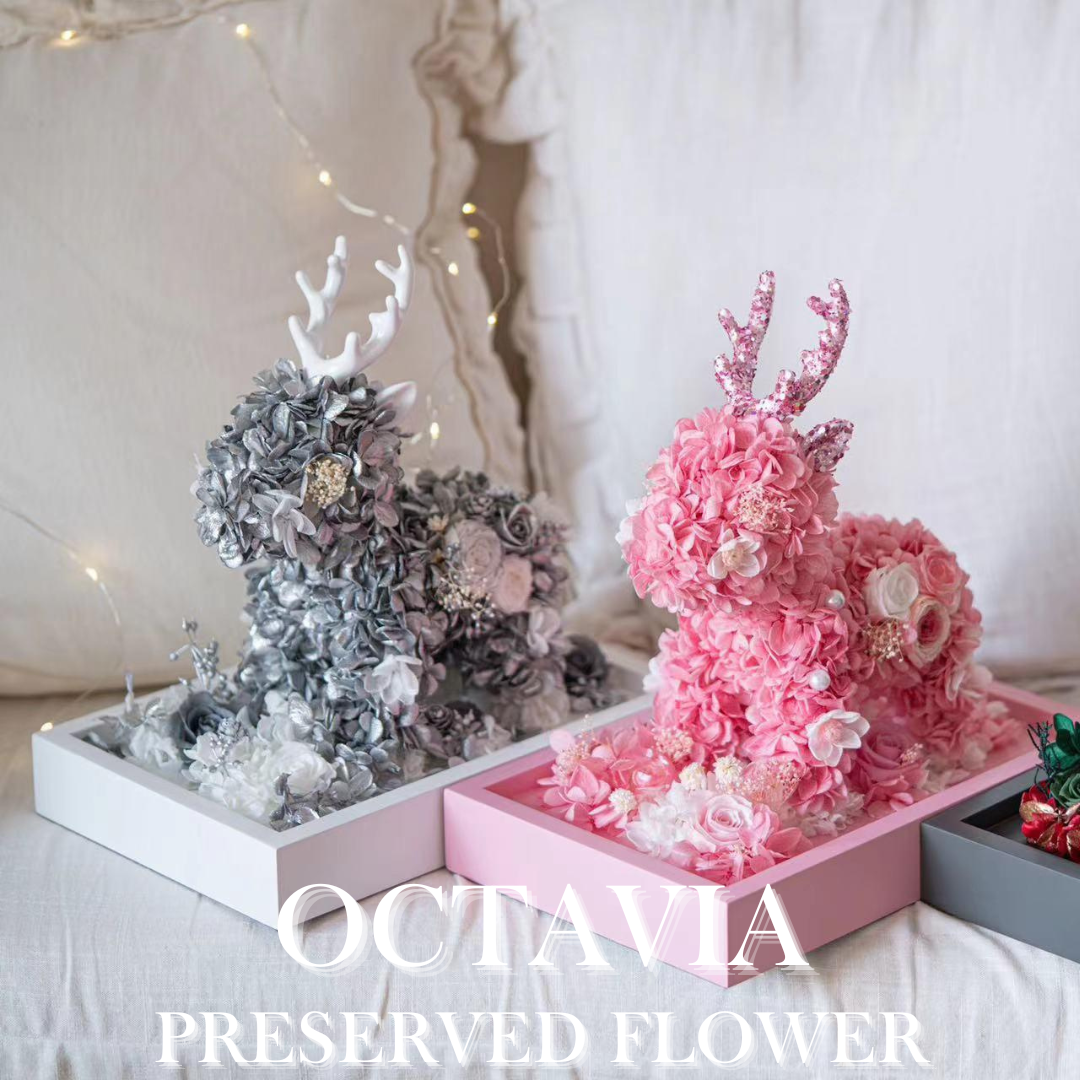 [Preserved Flower] - Christmas
