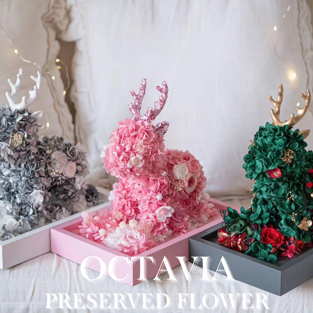 [Preserved Flower] - Christmas