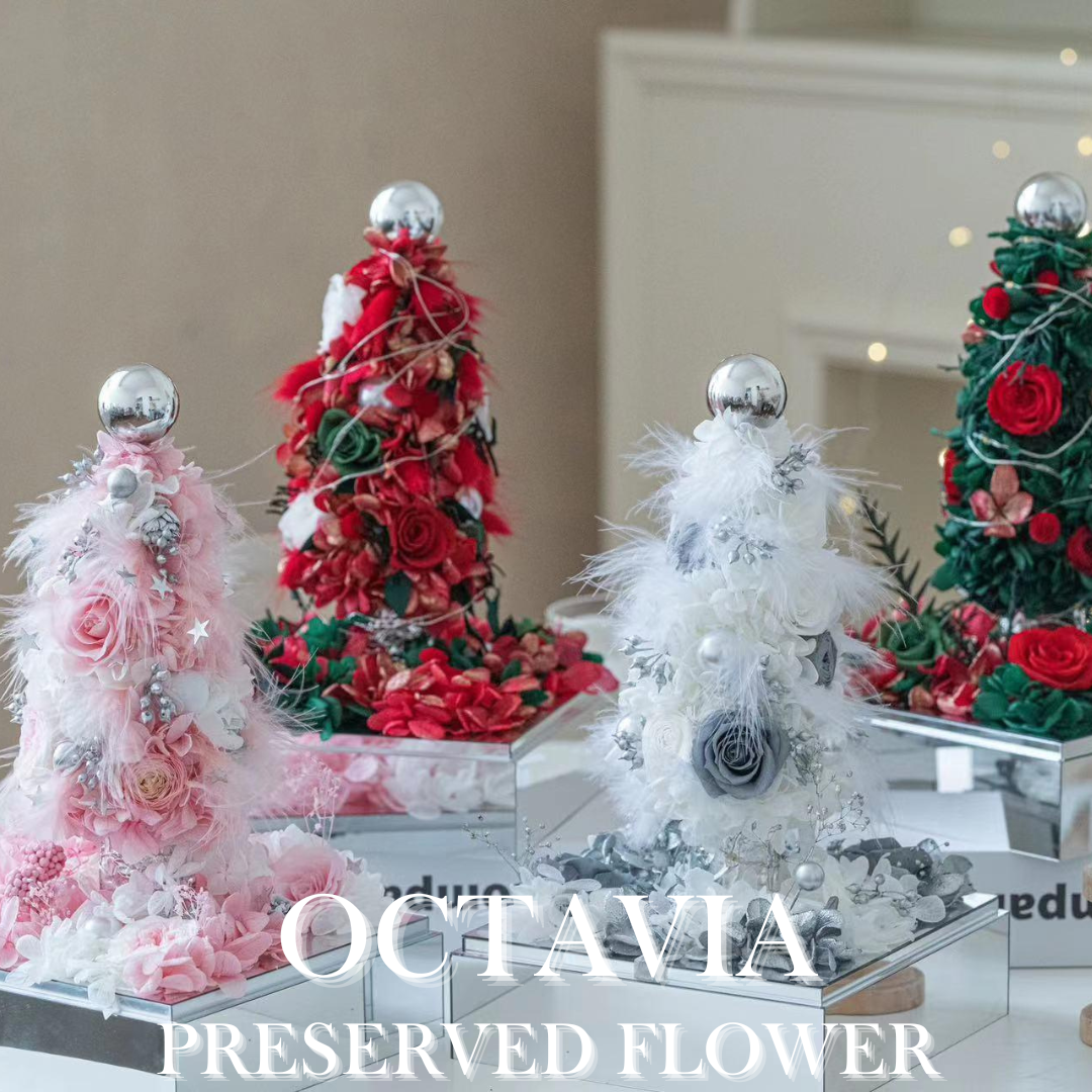 [Preserved Flower] - Christmas