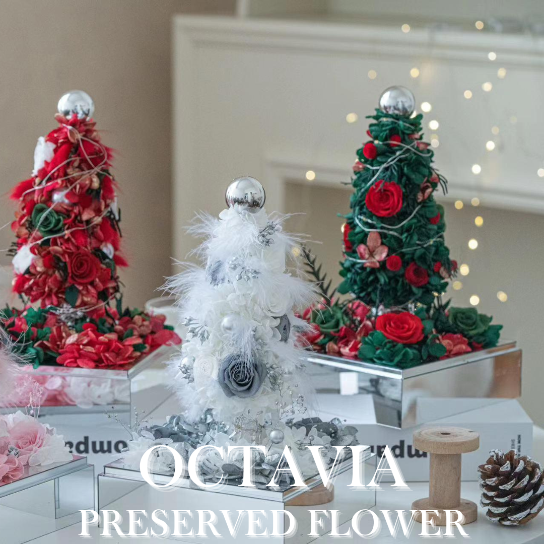 [Preserved Flower] - Christmas