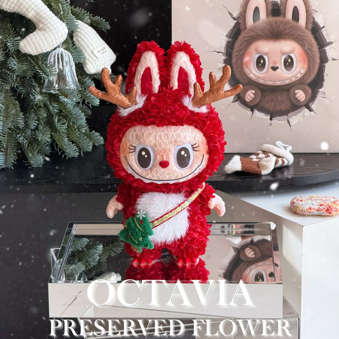 [Preserved Flower] - Christmas