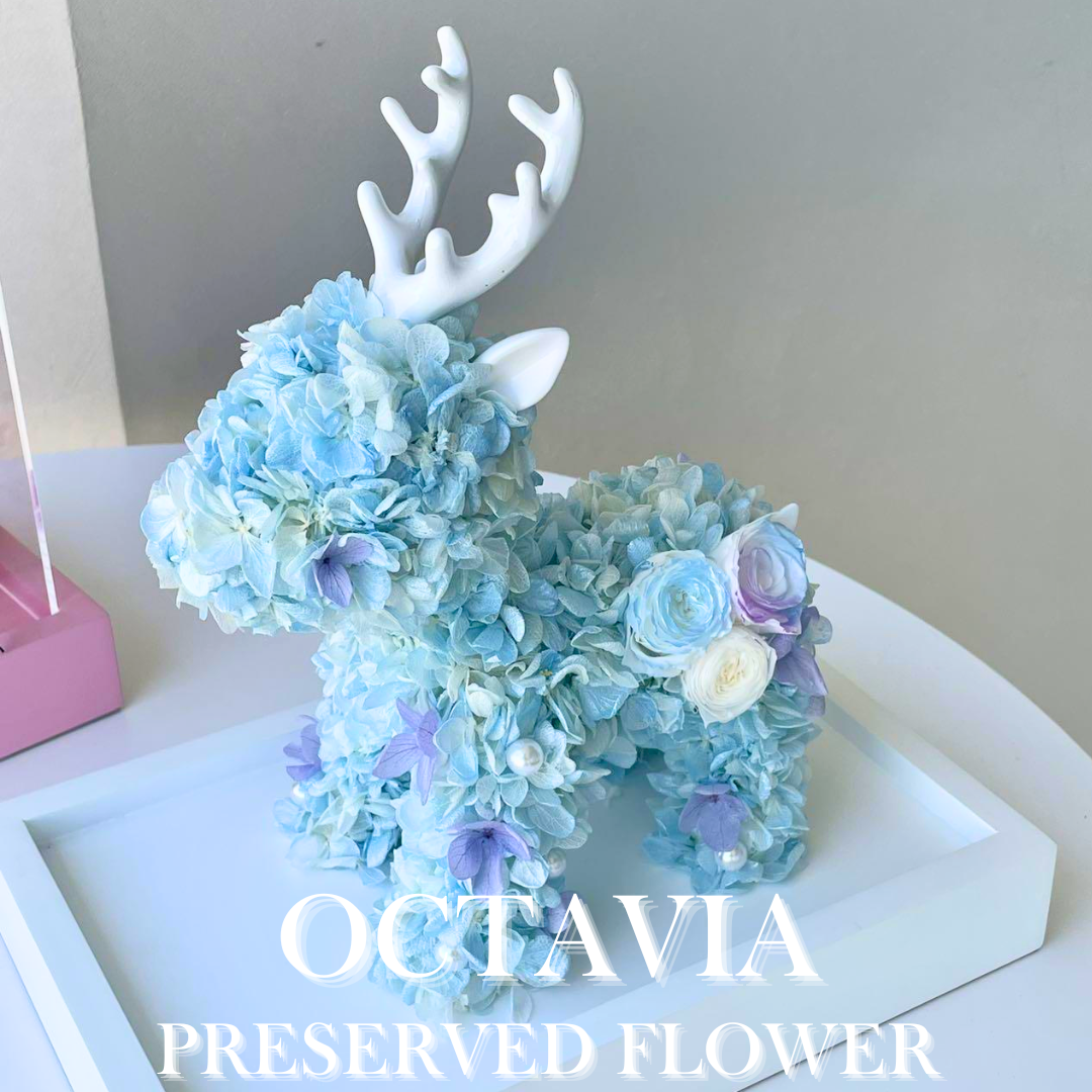 [Preserved Flower] - Christmas