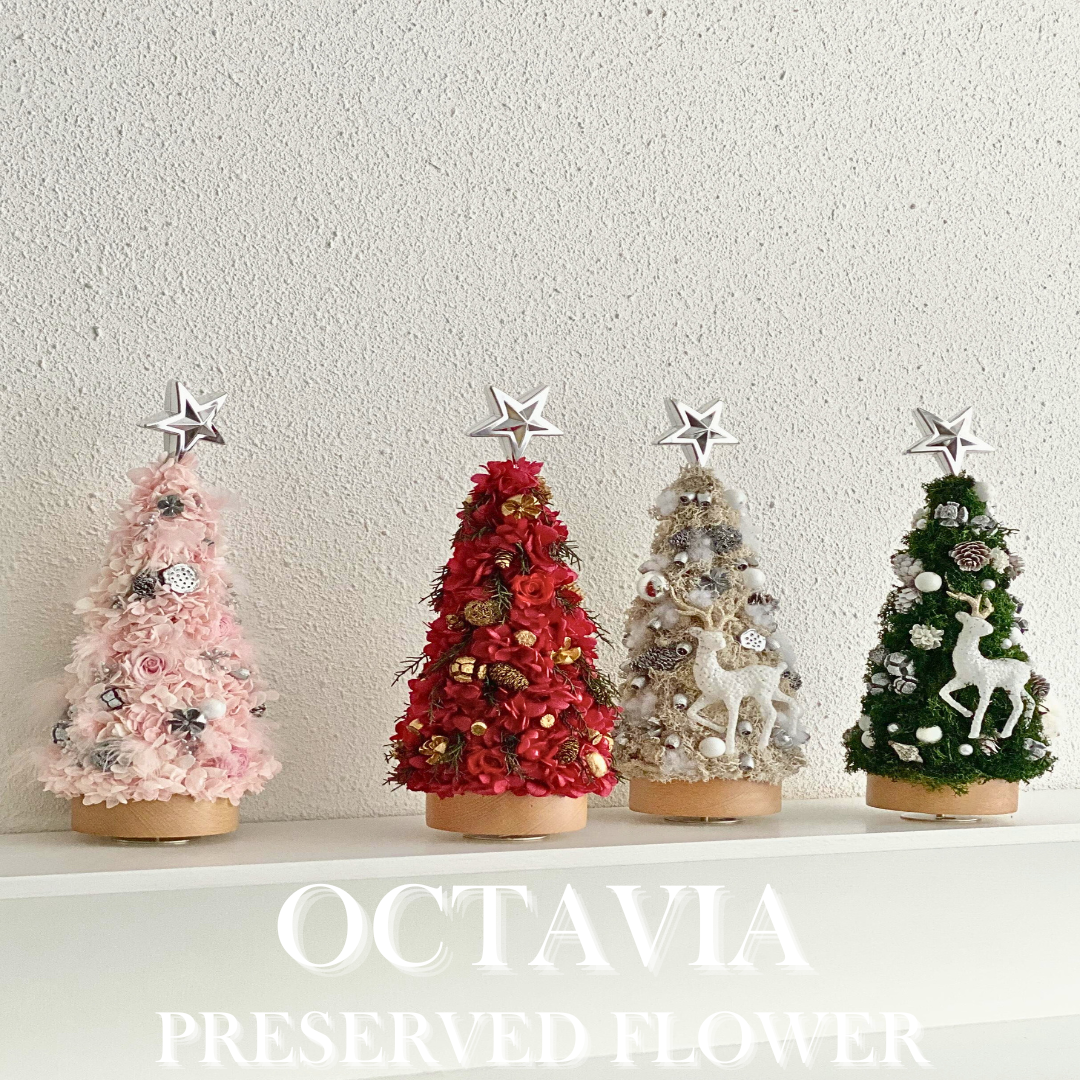 [Preserved Flower] - Christmas