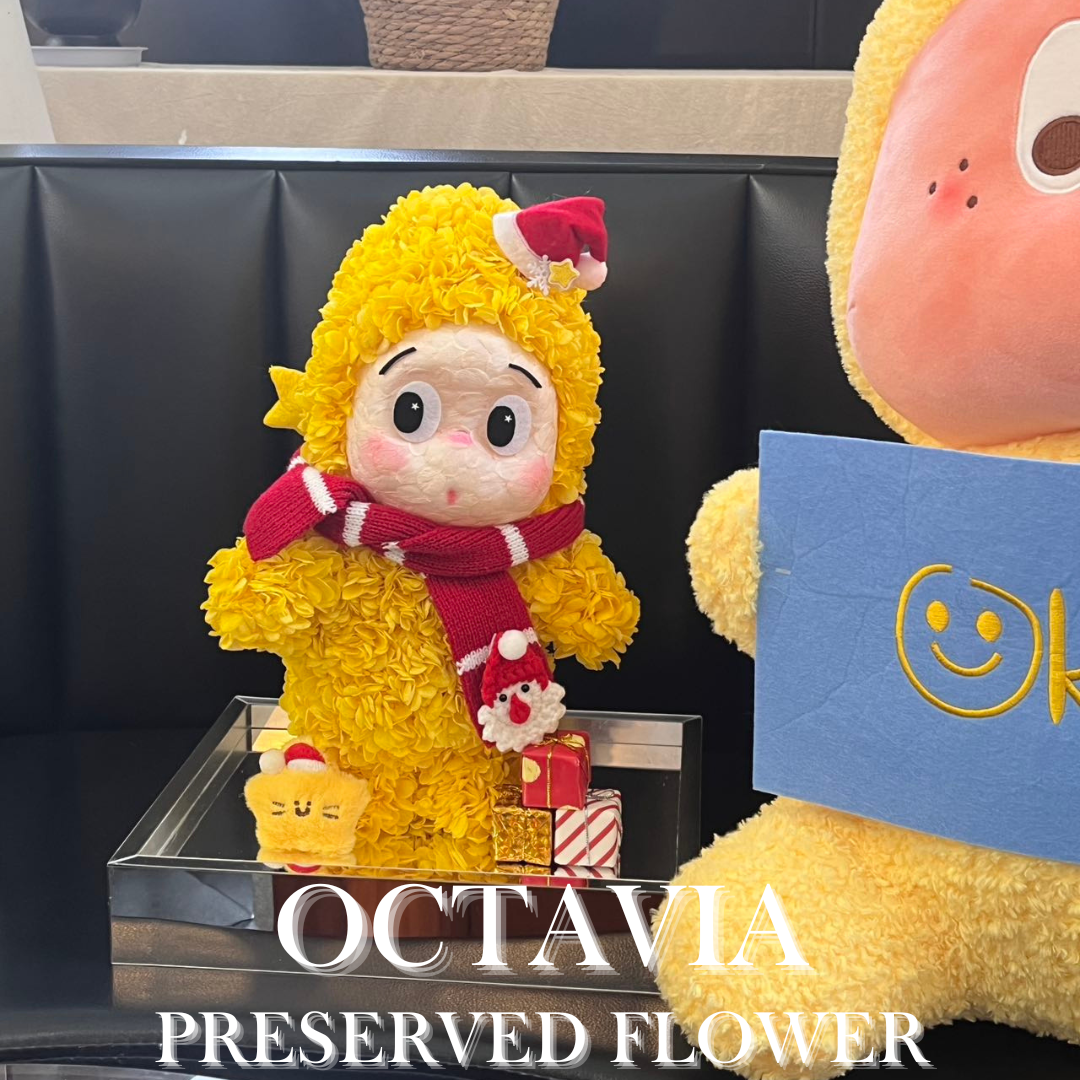 [永生花]-聖誕星星人(共7款)